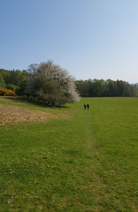 Walking through fields at Parsons Park near Caldbeck © Dik Stoddart