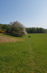 Walking through fields at Parsons Park near Caldbeck © Dik Stoddart Walking through fields at Parsons Park near Caldbeck © Dik Stoddart